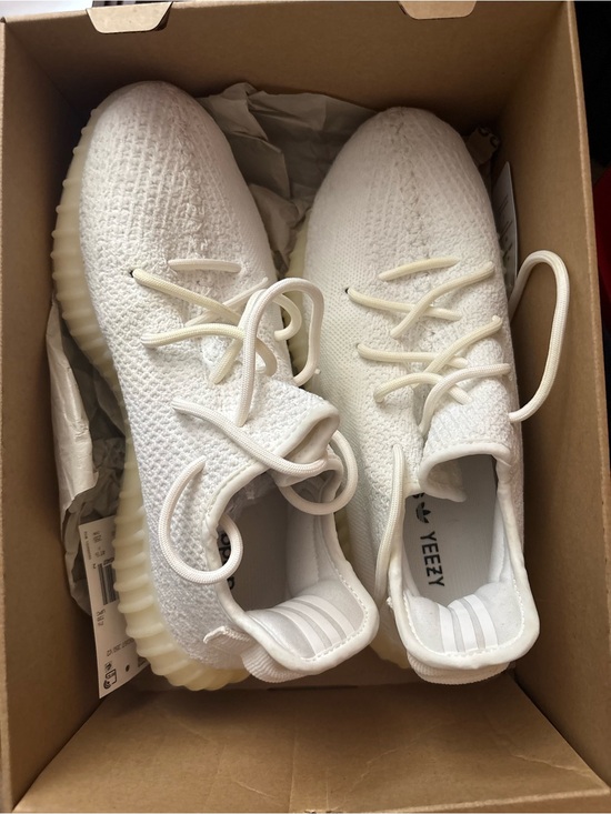 Yeezy Other - Yeezy shoes Cream Knit Low-Top Sneakers